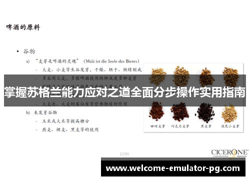 掌握苏格兰能力应对之道全面分步操作实用指南