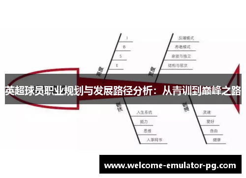 英超球员职业规划与发展路径分析:从青训到巅峰之路 英超球员职业规划与发展路径分析:从青训到巅峰之路