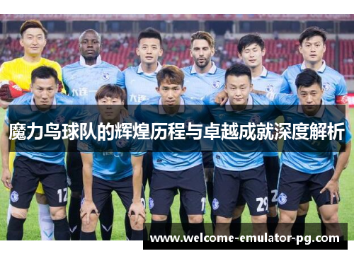 魔力鸟球队的辉煌历程与卓越成就深度解析 魔力鸟球队的辉煌历程与卓越成就深度解析