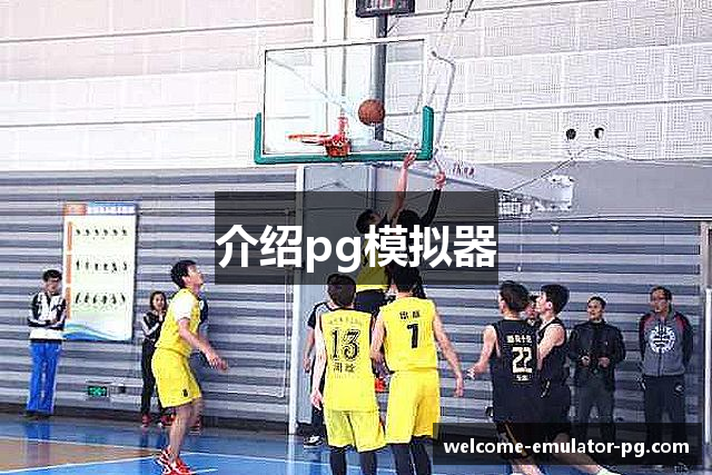 介绍pg模拟器